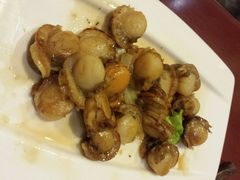 -清水日本料理铁板烧(学府路店)