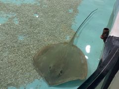 -台州海洋世界