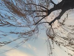 -太阳宫公园
