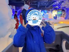 -海合安成都极地海洋公园