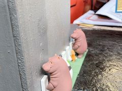 -财神鸡煲(华强北店)