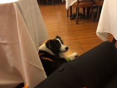 -摩根扒房(桐梓林店)