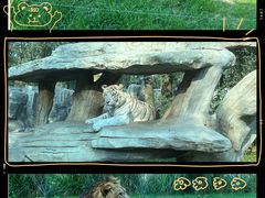 -北京野生动物园