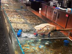 -萧邦音乐会所KTV·蒸汽活海鲜自助(福田店)