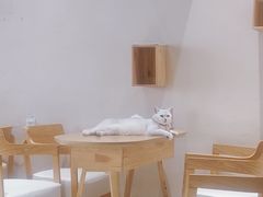 -藏猫猫咖啡主题馆(中央大道店)