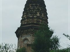 -云岗森林公园