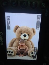 点击看大图 -星宝贝儿童摄影