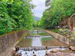 -广州白江湖森林公园