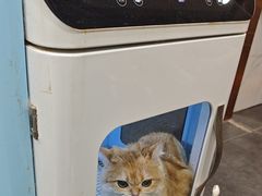 -宠爱国际动物医院·消化内科·心肾内科·ISFM猫友好(望京店)