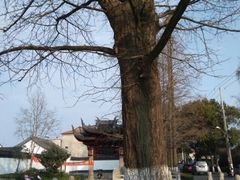 -瀛洲公园