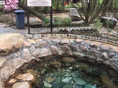 -三亚海棠湾南田温泉神龙谷