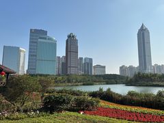 -万绿园