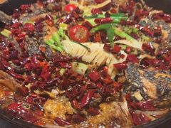 -老板恋上鱼(恒隆广场店)