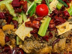 -老板恋上鱼(印象城店)