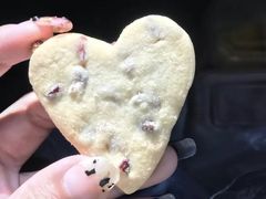 蔓越莓饼干-阿昌烘焙