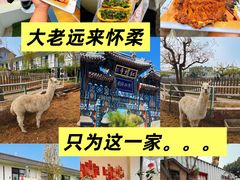 -丽泽山庄·生态怀柔菜·虹鳟鱼(红螺寺店)