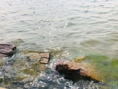 -丁香湖公园