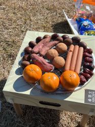 -268童话露营农场·烧烤·团建