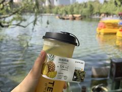 -翠湖公园