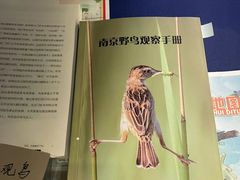 -德基艺术博物馆