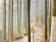 -莫干山风景区