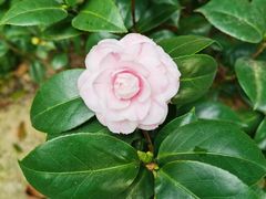 -华南国家植物园-售票处