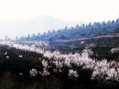-定都峰