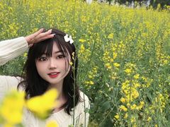 -光明小镇欢乐田园