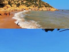 -广东惠东海龟国家级自然保护区