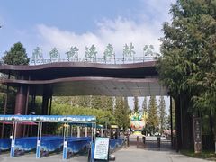 -黄海国家森林公园