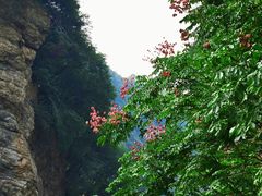-少华山国家森林公园