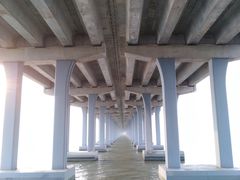 -宝安西湾红树林湿地公园