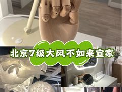 -宜家家居(四元桥商场店)