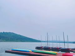 -羊山湖公园