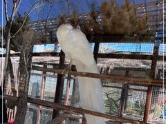 -南宫五洲植物乐园