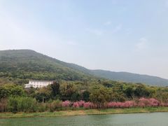 -苏州吴中太湖旅游区