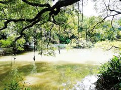 -小洲村