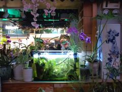 -谷咖啡·鲜花绿植花园餐厅