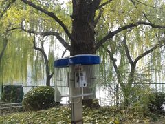 -紫竹院公园冰场