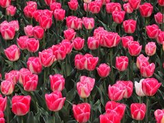 -玄武湖景区-情侣园游乐场