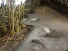 -淀里船宴(卓达店)