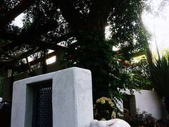 -悦哉·派对·草坪婚礼·围炉煮茶(三圣乡店)