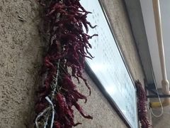 -面尚香关中面馆(盛龙广场总店)