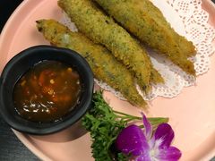 -猫小院猫主题咖啡厅(北锣店)