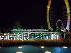 -南京眼步行桥