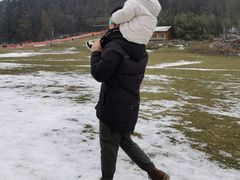 -武陵山森林公园