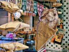 -十六蒲(桂林路店)