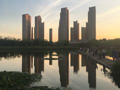 -前关湿地公园