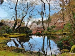 -醍醐寺