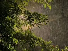 -暨南大学（石牌校区）明湖楼